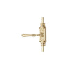 Hamilton Brass Lever Handle Door Brass Cremone Bolt or Espagnolette Bolt Polished Brass Lacquered Upto 9 feet Doors